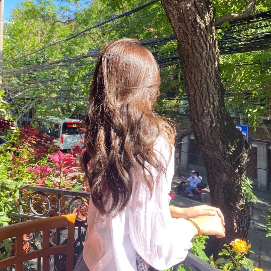 宝窗选婿